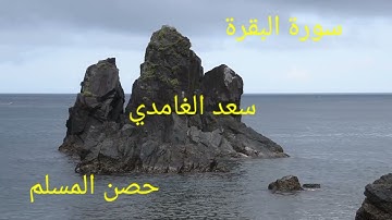 #سورة_البقرة #سعد_الغامدي #alquran # قرآن_كريم #راحة_نفسية #اكسبلور #حصن_المسلم #أحسن_التلاوات