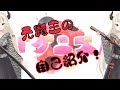 【自己紹介】お初じゃな!うちじゃ!元魔王じゃ!!【Vtuber】