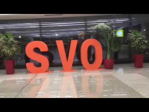 Video: Hur Man Kommer Till Sheremetyevo