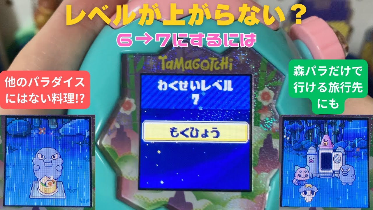 Tamagotchi Paradise] How to increase your level? From level 6 to