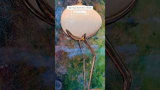 CHANEL Spring-Summer 2026 | Milan Via Montenapoleone #milan     #fashion     #milanfashionweek