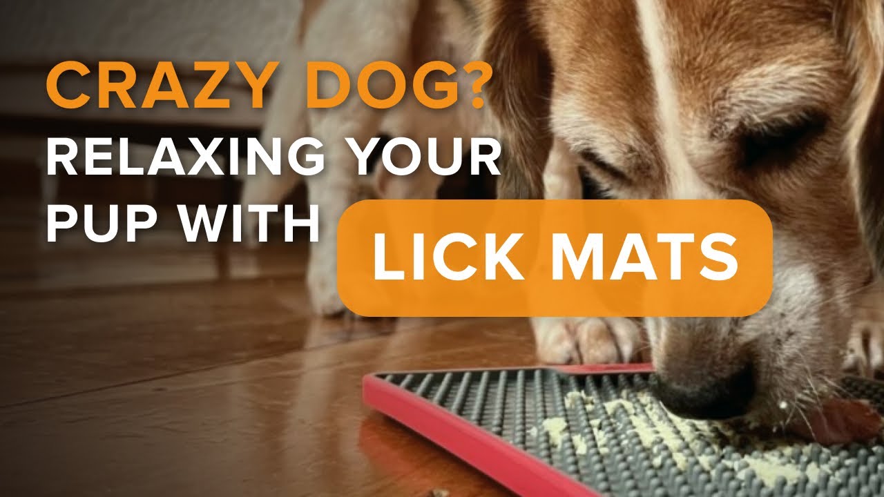 Using a Lick Mat to Get a Dog Mental Stimulation and Release