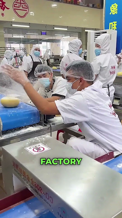 World Easiest Jobs 😨