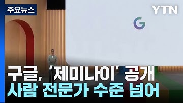 "AI 언어모델, 사람 전문가 수준도 넘었다" 구글 