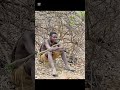 Chaba Looks Like He Is Not Happy Today Africa Duet Chaka Chacha Choko Chuga Chaba Looks Like He Is Not Happy Today Africa Duet Chaka Chacha Choko Chuga