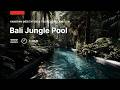 Bali Jungle Pool | Handpan Meditation &amp; Tropical Relaxation (1 Hour Background Visuals)
