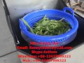 TS-15 vegetable and fruit water extractor, spin dryer, centrifugal extractor