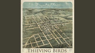 Video thumbnail of "Thieving Birds - Too Young"