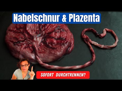 Video: Gehen Lokalanästhetika durch die Plazenta?