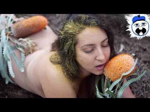 Video: 10 Shocking Sexual Traditions Of Tribes And Peoples Of The World - Alternative View