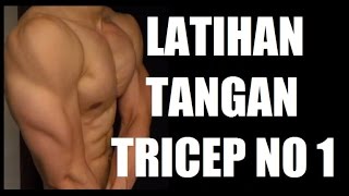 Cara Latihan Otot Tangan Tricep Dips by Brodibalo