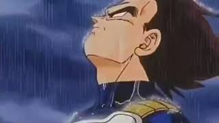 Vegeta bajo la Lluvia | Dido - Thank You