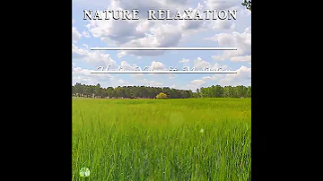 🌿FRESH MORNING Ambience & Gentle Breeze in Green Fields to Start POSITIVE 🌿 Healing Spring Sounds