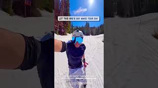 Unbelievably close calls with wild animals 🫣 #Nature #Animals #CloseCall #Viral #neardeath