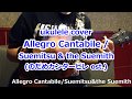 ukulele ウクレレ Allegro Cantabile/SUEMITSU&THE SUEMITH ~ のだめカンタービレ ost.