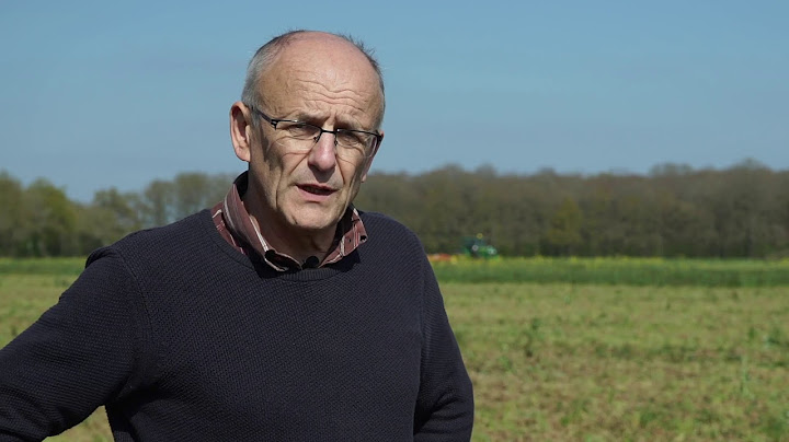 Comment gérer la destruction des couverts avant l’implantation d’un maïs ? - ARVALIS-infos.fr