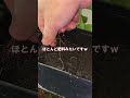 熱帯魚水槽の上部フィルター設置してから8カ月放置でいろんな意味でスゴかった