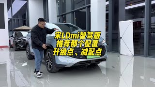 宋L Dmi智驾版 买那个配置划算，有哪些升级点和减配点#比亚迪 #宋Ldmi #宋plusdmi