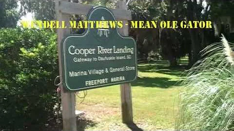 WENDELL MATTHEWS - MEAN OLE GATOR