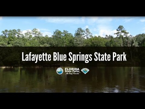 Lafayette Blue Springs State Park Visit Natural North Florida