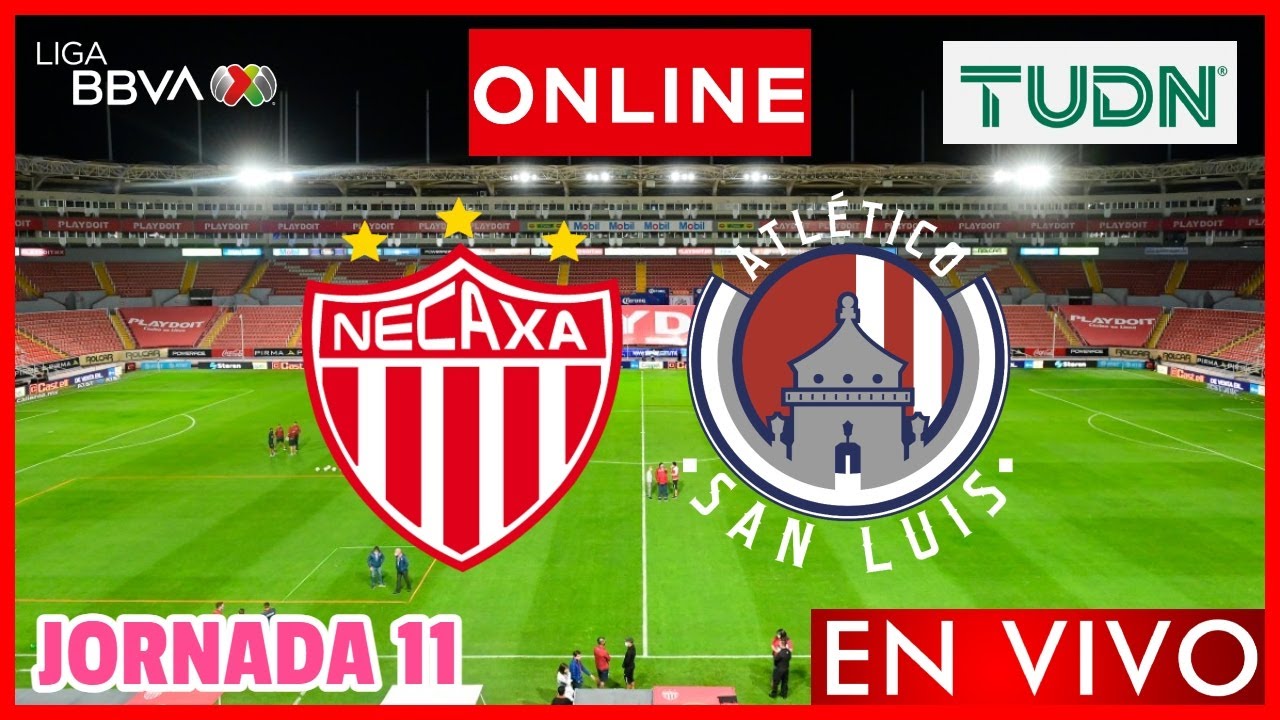 Necaxa vs San Luis EN VIVO | Jornada 11 Liga MX Clausura 2024 ...