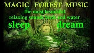 MAGIC FOREST. INSTRUMENTAL MUSIC. FANTASY MUSIC. NICE SOUNDS NATURE. DEEP SLEEP. BIRDS &amp; WATER.