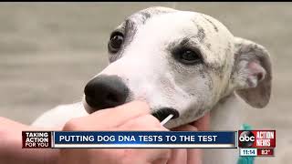 bbc watchdog dog dna test