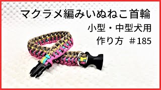 [パラコードでマクラメ編み]#185 4色で編む小型・中型犬用首輪