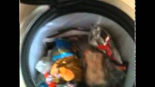 How 2 Get Stuff Out The Bin Without Touchin It