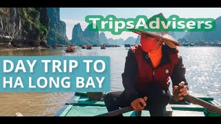 Vietnam's Ha Long Bay Is a Spectacular Garden of Islands