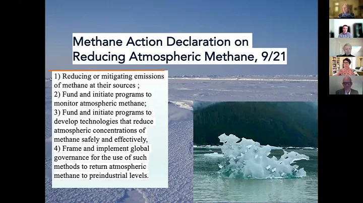 Daphne Wysham, CEO of Methane Action on Investigat...