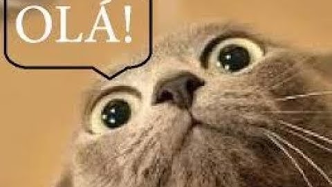 Olá.