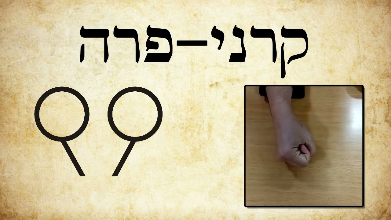 טעמי המקרא נוסח בני עדות המזרח | הרב נתנאל פיטוסי 054-703-8670