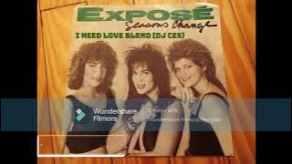 Expose - Seasons Change x I Need Love (Dj Ces Blend)