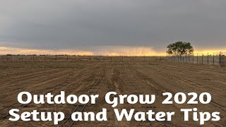 Planting May Outdoor Cannabis Grow 2020 Water tips