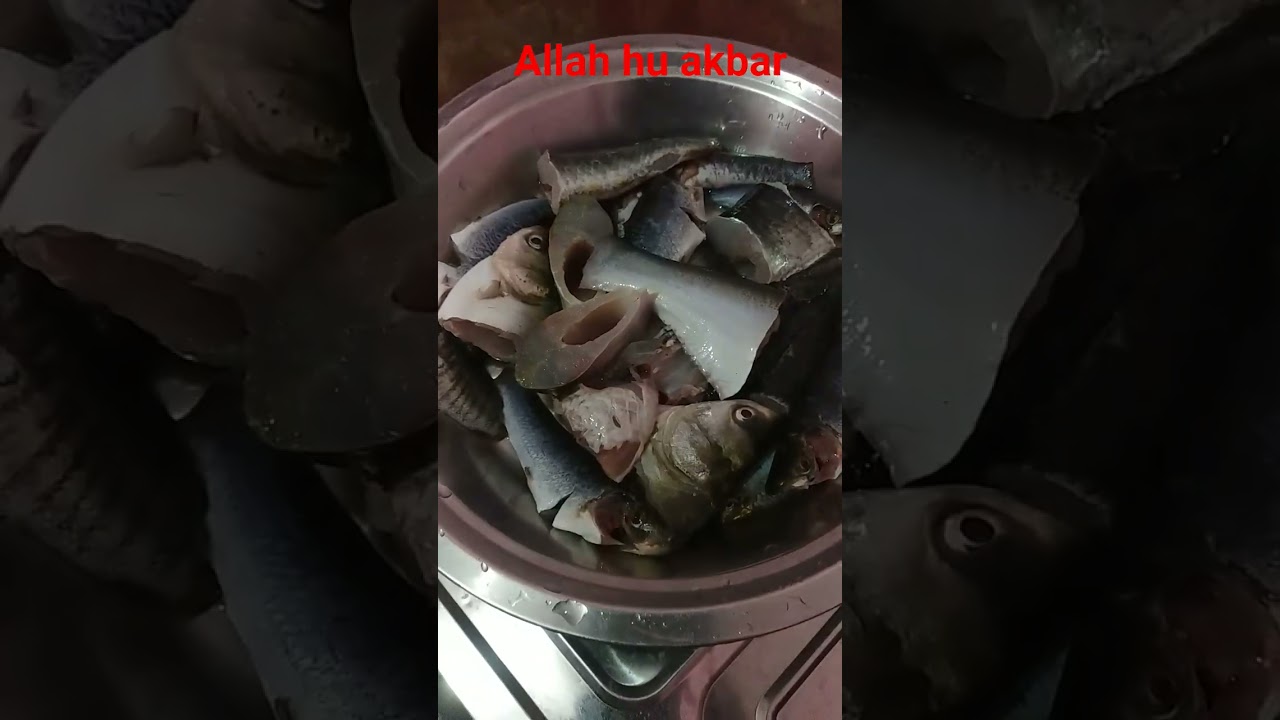 machhali fish# yosho