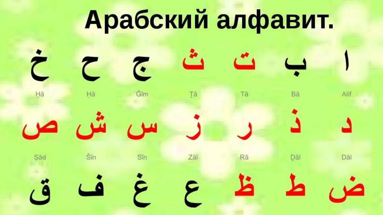 Уроки арабского языка. Арабские буквы алфавит с переводом на русский. Алфавит арабского языка таджвид. Арабский алфавит для начинающих с произношением. Арабский алфавит для начинающих таблица.