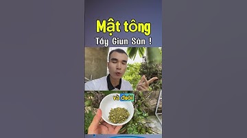 Trị sán chó , sổ giun đường ruột hiệu quả với hạt cau | Hoàng Thuận Healer #sancho