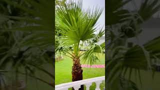 Download Lagu home #sweet #home #mahal #tiktok2023 #viralshorts #Send #interiordesigner #Brian #realestate MP3