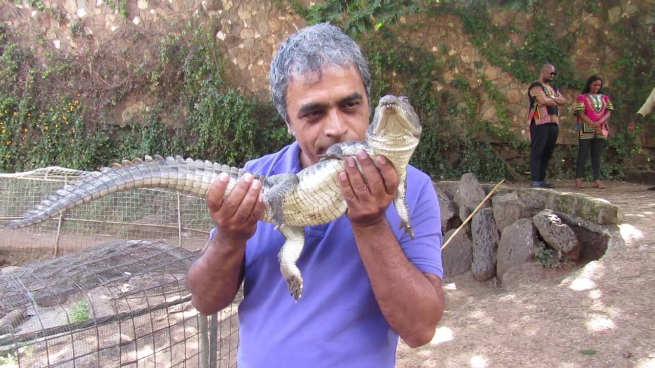 Nirupam Gyan kissing a crocodile at Mamba Village Kenya 2016 camera iphone 8 plus apk