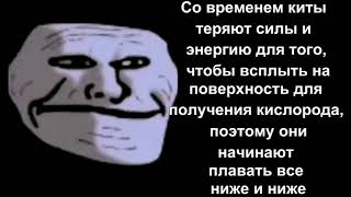 Правда Жизни(Грустные Факты) 10