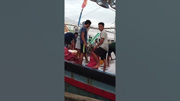 CẢNG CÁ TRẦN ĐỀ