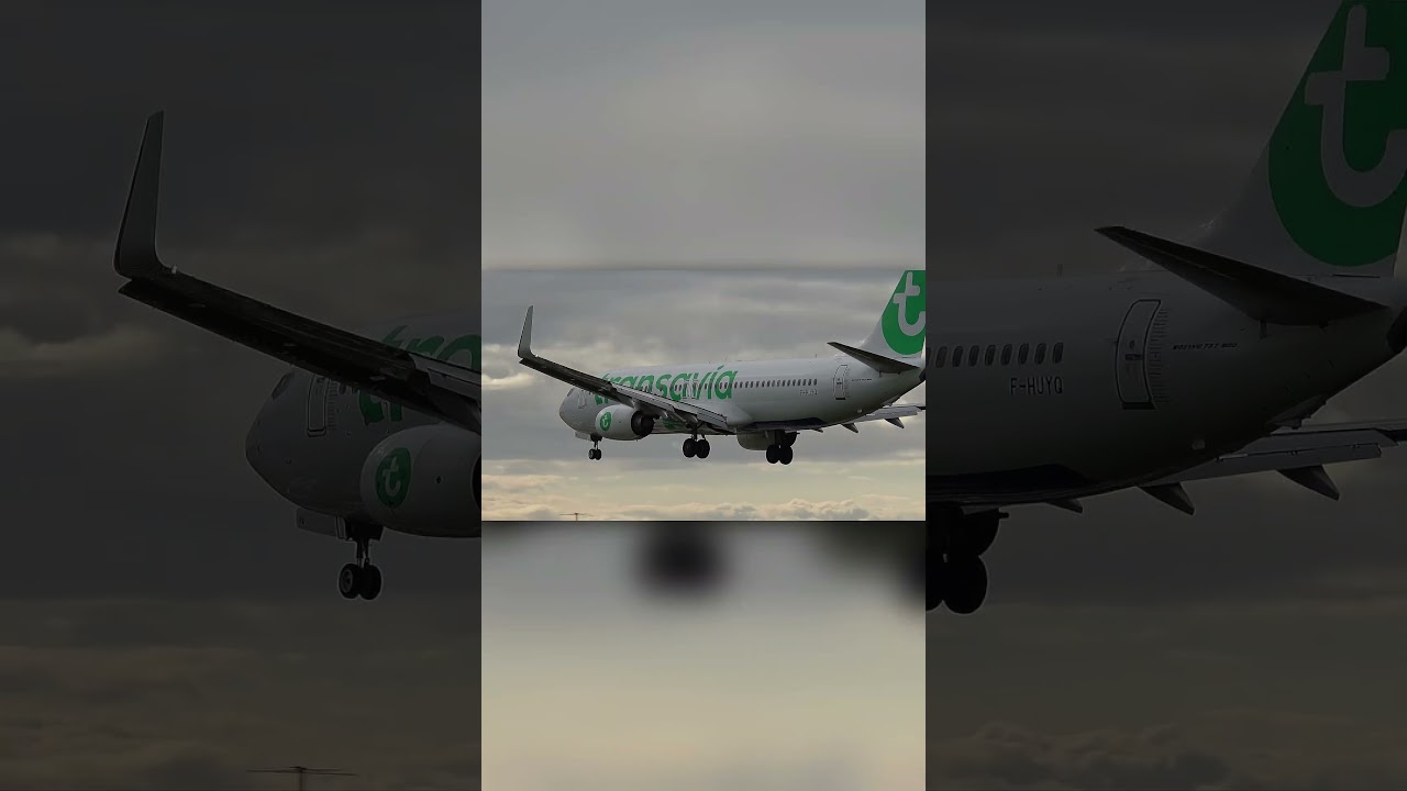 Transavia Boeing 737-800 Landing at Norwich Airport