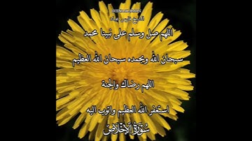 سورة الإخلاص | الشيخ فارس عباد،استغفر الله العظيم واتوب اليه، تلاوه خاشعه(1)