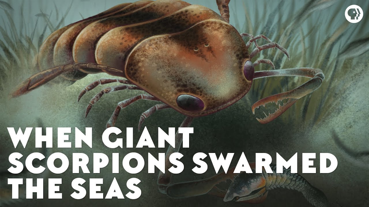 ⁣When Giant Scorpions Swarmed the Seas