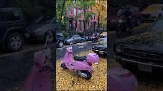 🗽 NYC Fall Aesthetic – Relaxing City Walk in Autumn