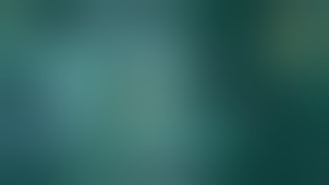 starve.io kill comp 5 feet rebirth and ihax clan and nolife