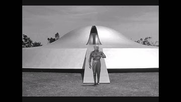 Venderstrooik - Acid Bot