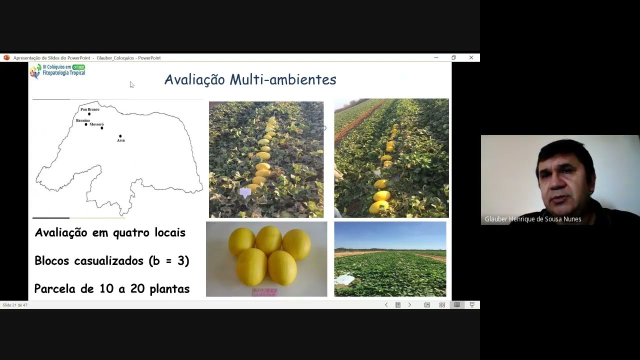 A biotecnologia aplicada ao melhoramento genético de plantas a patógenos