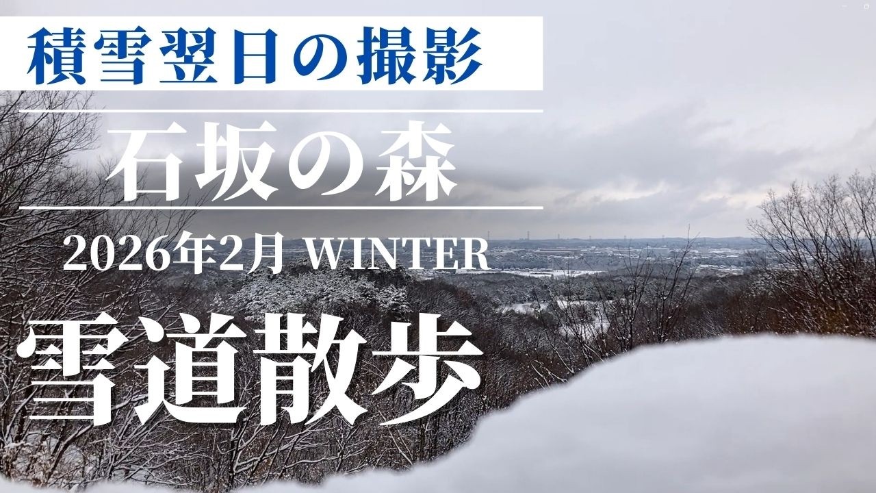 雪が降った翌日 石坂の森を散歩